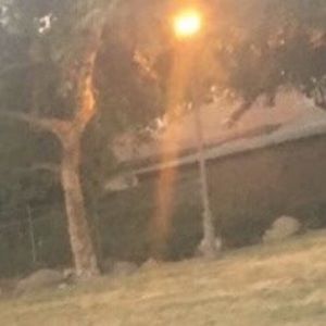 Meet your Posher, Oscar